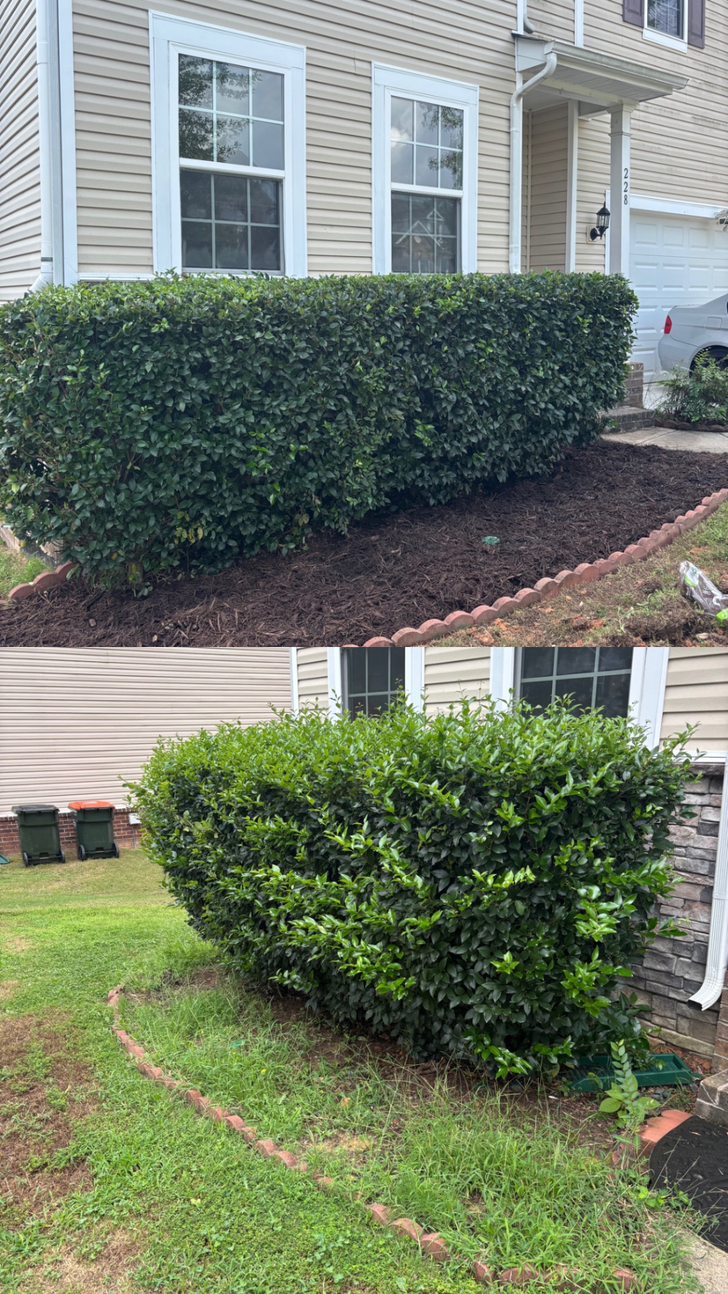 Hedge row trim & fresh mulch — before & after — Charlotte, NC